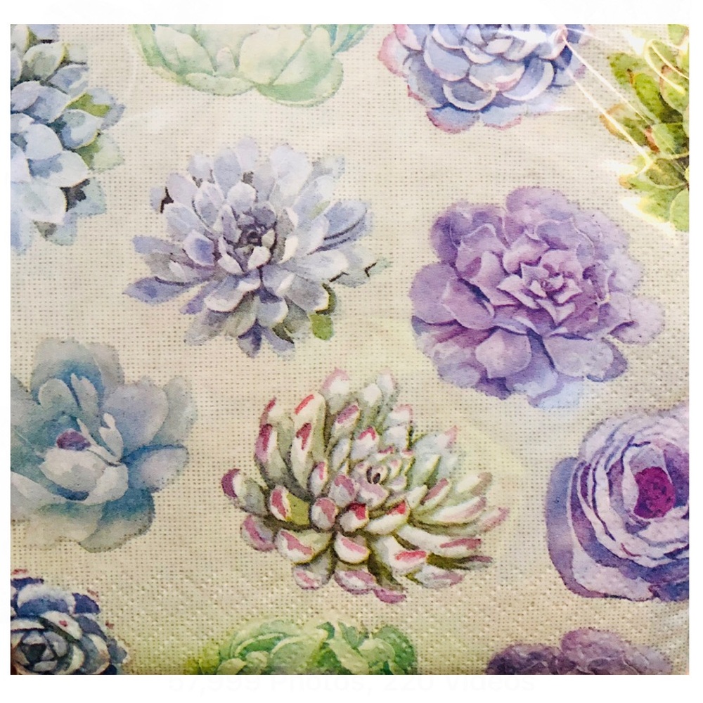 Creative Converting Floral Succulent 3-ply Cocktail Beverage Napkins, 40 ct